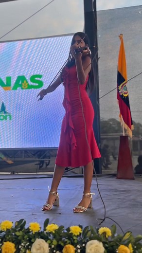 Aleluya en violín 🎻🎶 Espero lo disfruten mucho y compartan 🫶 #musicainstrumental #violinist #violinistaparaeventos | Barbara Queen Violinista