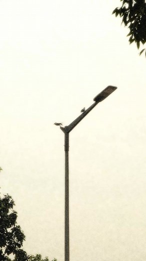 405K views · 20K reactions | Wellbeing Nutrition pay day sale is live. Get Flat 15% OFF + ₹100 extra off on your first order with code APPFIRST. | Wellbeing Nutrition | Facebook