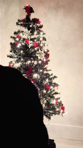 Gothic Christmas 🖤#shorts #gothic #darkambient #christmastree #vintage