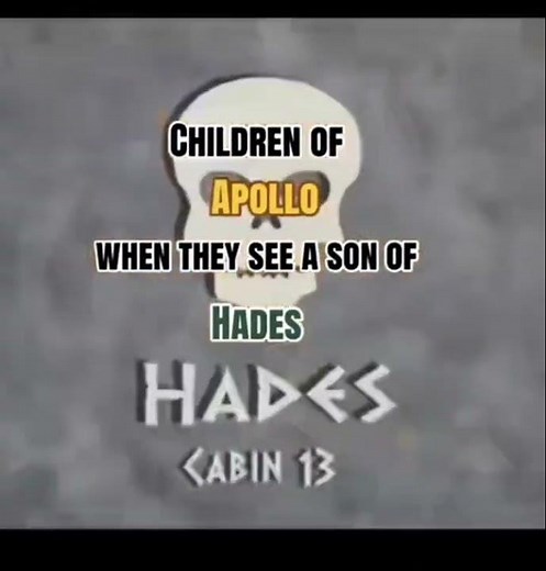 Children of Apollo when they see a son of Hades #percyjackson #annabethchase #pjo #pjofandom #pjotok