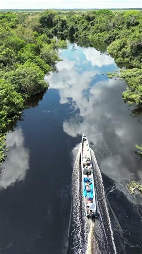 UNREAL AMAZON WILD: The Most Isolated Places in the Amazon Rainforest