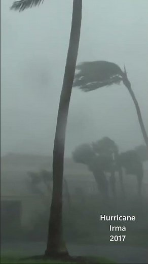 Video from Category Three Hurricane Irma - 2017