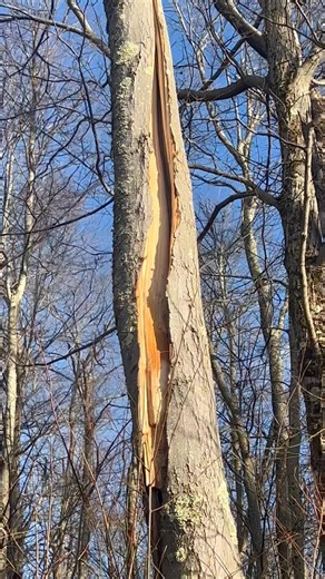 Getting ready to move our deer blind…￼ Four Mile Ridge 11-16-25 | Billy Turner