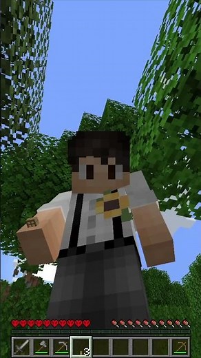 Mini Tür #minecraft #caravas #challenge