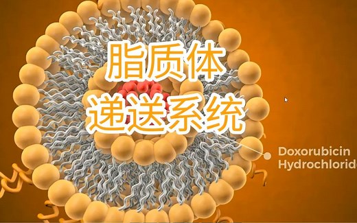 脂质体递送系统