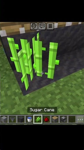 Sugarcane Farm 😱🌿 | Minecraft Survival Easy Build!