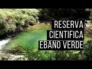 🎋Bienvenidos a la Reserva Cientifica Ebano Verde, EL ARROYAZO, Constanza Republica Dominicana.🎏