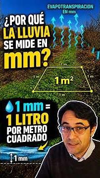 ¿Por qué la lluvia y la evapotranspiración se miden en milímetros?