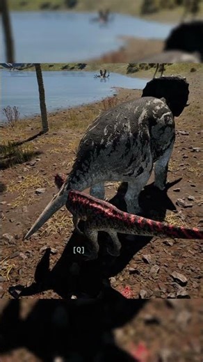 Testing New Trike Hit-box (mechanic) | The Isle Evrima #isle #theisleevrima