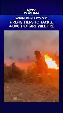 Spain Deploys 275 Firefighters To Battle Massive 4,000-Hectare Andalusia Wildfire