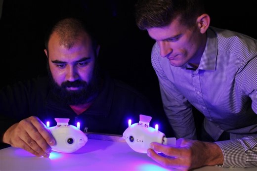 The MagPi celebrates milestone issue with 150 Raspberry Pi people and projects