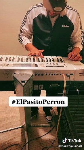 El Pasito Perron - Mazizo Musical Cover | Dinastia Mendoza
