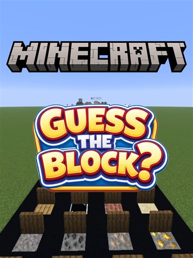 Minecraft Guess The Block 2 Gameplay Fun