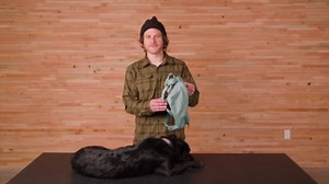 Ruffwear, Front Range Day Pack, Dog Backpack with Saddlebags, 5-Point Adjustment, 3 Leash Points, Padded Handle, Internal Mesh Pockets, Reflective Trim, Light Loop, River Rock Green, X-Small