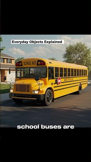 Why School Buses Are Yellow | The Science Behind It