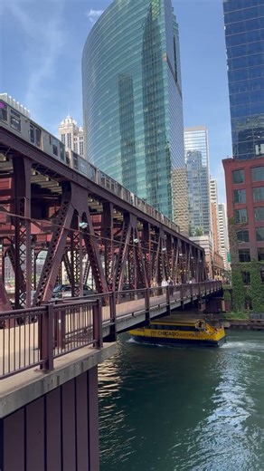 15 Seconds of Pure Chicago Beauty ❤️