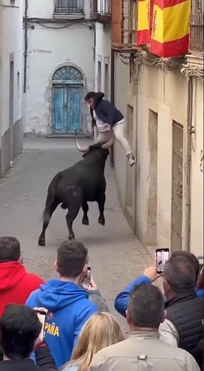 Bull attack, bullfighting in Spain #shortviral #viral #viralshort #wildanimals