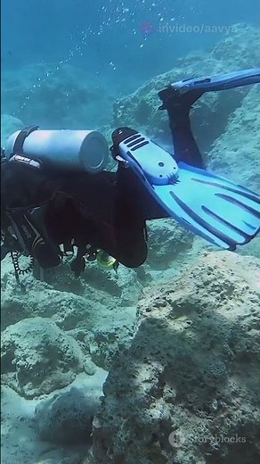 Exploring the Mysterious Point Nemo: The Most Isolated Place on Earth