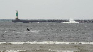 12K views · 77 reactions | Check out the conditions on Lake Michigan at Pere Marquette Beach in Muskegon (Video from media partner WZZM) and then check out the latest forecast for Mid-Michigan https://www.wlns.com/weather/weatherstories/snow-strong-wind-will-affect-travel-for-the-end-of-the-week/ | WLNS-TV | Facebook