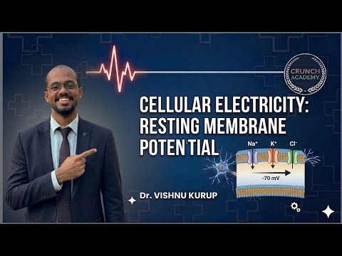 The Foundation of Cell Communication: Resting Membrane Potential