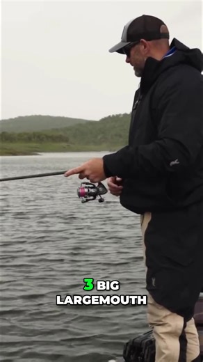 3K views · 33 reactions | Learn a fisherman's proven strategy to catch big largemouth bass. This technique could change your fishing game forever. #bassanglermagazine #bamtrail #LargemouthBass #FishingStrategy #BassFishing | Bass Angler Magazine | Facebook
