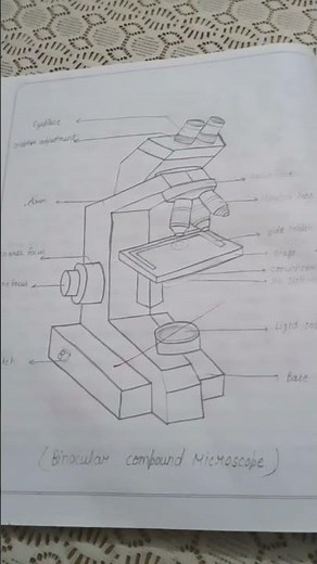 Binocular microscope 🔬diagram and principal #bsc #microscope #zoology #botany #importantquestions