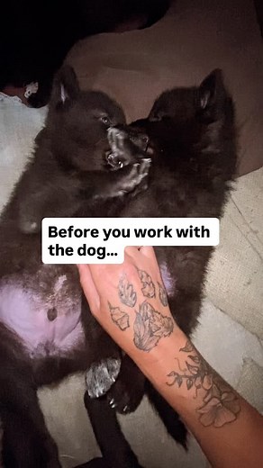 88 reactions · 14 comments | Okay, so let’s talk about the crying....