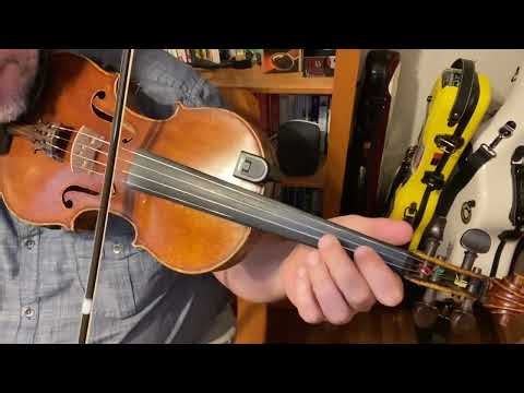 Concertina Reel in D