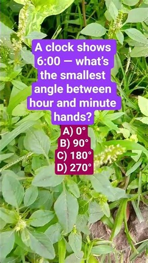 A clock shows 6:00 — what’s the smallest angle between hour and minute hands?