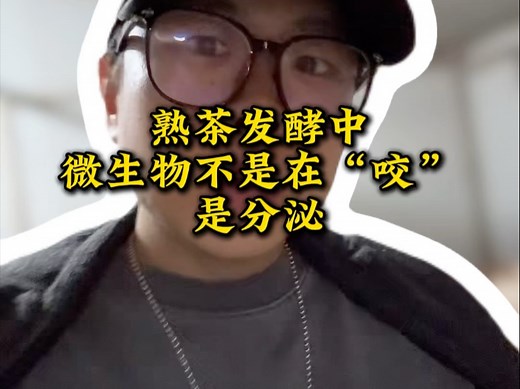 儿茶素（无色）→ 茶黄素（亮黄）→ 茶红素（红浓）→ 茶褐素（褐润）