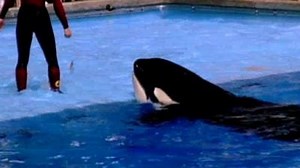 Watch Popular Mechanics for Kids Season 3 Episode 3 - Popular Mechanics For Kids