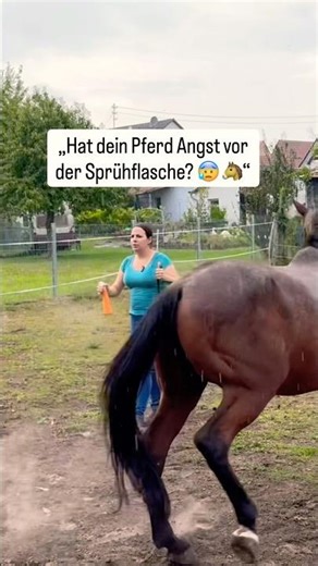 „Pferd entspannt einsprühen lernen 🐴✨ | Trainingstipp“ #pferdetraining #tipps