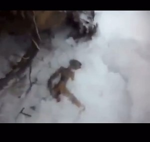 And what if the alien discovered in Siberia wasn't a hoax? There's a lot of similarity with the unboxing in Mexico though..