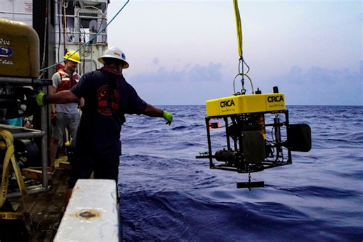 Brilliant Deep Sea Camera Captures Scarce Footage of the Elusive Giant Squid