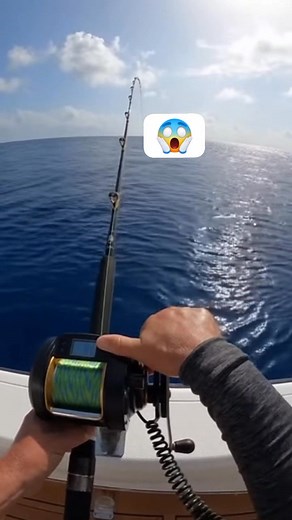 Grinding hard from the deep! 💪 That reel is working overtime bringing up a heavy one from 70 meters. Pure deep-sea power!#DeepSeaFishing #OffshoreLife #HeavyLifting #BigGameFishing #ReelPower #USAFishing #BottomFishing #FishOn | JS Fishing Lover