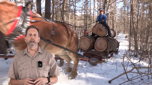 Did you know we post full-length versions of our videos on YouTube? Click the link below to go directly to our channel. Hit the "subscribe" button at the top of the page so you won't miss out on new content (it's free!) https://www.youtube.com/@RuralHeritage | Rural Heritage Magazine