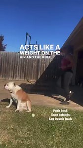 1.8K views · 56 reactions | Knee or hip pain in your run? Keep your knees bent and pull foot up as your running action. If you push or straighten knee, leg travels back. Keep knees bent, pull foot up and leg will travel forward, with your body in run! | RUNRX | Facebook