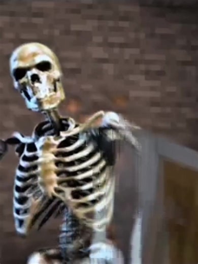 Minecraft Memes: Friendly Creeper Moments