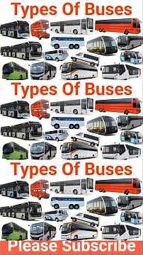 School Bus, City Bus, Coach, Police Bus | Bus name collection - Learning Vehicle Types of Bus ll