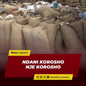 2.5K views · 34 reactions | Chama kikuu cha ushirika katika wilaya za Masasi, Mtwara na Nanyumbu mkoani Mtwara MAMCU Ltd kimelazimika kununua maturubai na kusambaza kwa vyama vya msingi ili kukinga korosho zilizojaa nje ya maghala zisiharibiwe na mvua | Channel Ten Tz | Facebook