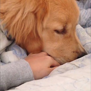 1.8M views · 10K shares | 'Noooo, my hand has to stay at the top!'  | LADbible | Facebook