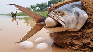 55K views · 1.1K reactions | Unbelievable Technique Fishing Catching Video River Top 10 Fish Finding Method #fish_video | Only Fishing | Facebook