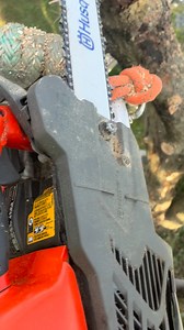 H&M Tree Services on Reels | Facebook