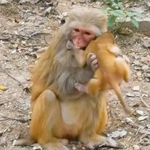 Bad mom | Jessica Day