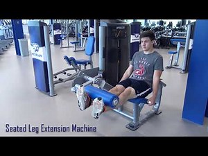 Seated Leg Extension Machine