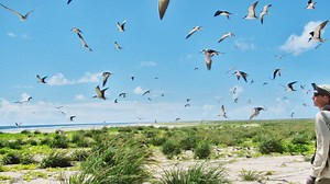 5 Free Apps To Help You Quit Your Job, Find Time To Cook, And More