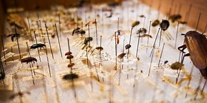 Turbocharge Your Debugging with Skyramp's Hot Code Reload