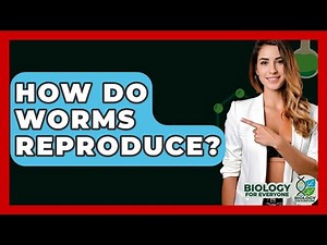 How Do Worms Reproduce? - Biology For Everyone