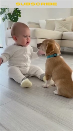 LOL Factory – Built to Make You LOL