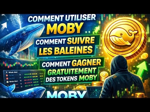 MOBY: HOW TO USE MOBY, HOW TO TRACK WHALES, EARN FREE MOBY TOKENS, AIRDROP